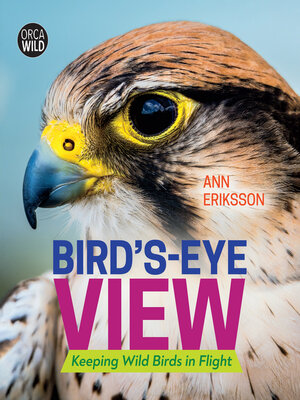 cover image of Bird's-Eye View